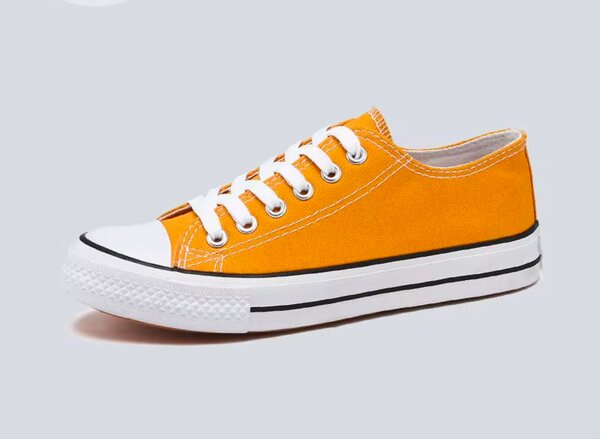 Baskets Unisex Style Classique