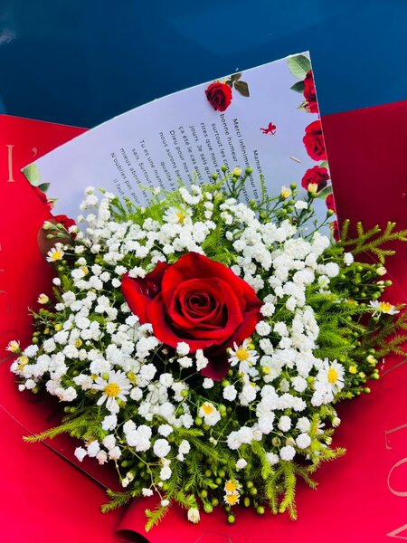 Bouquet de roses rouges élégantes