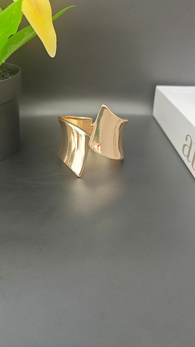 Bracelet jonc style élégant