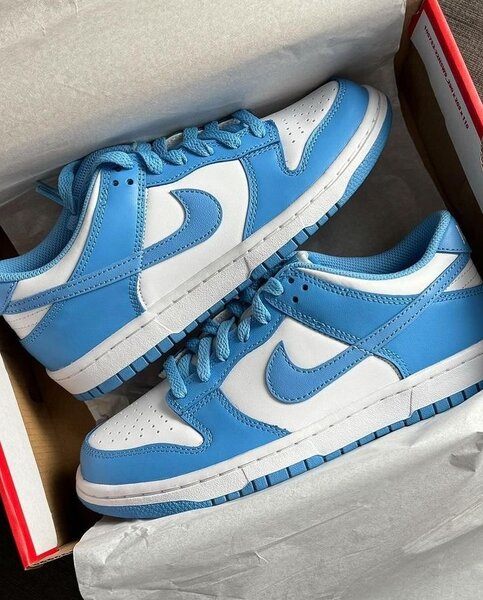 Baskets Bleu et Blanc Homme