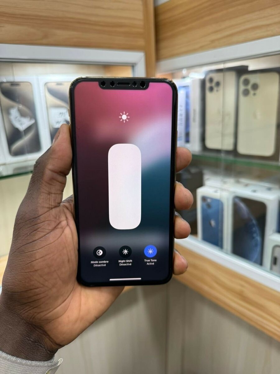 iPhone 11 Pro Max 256go quasi neuf