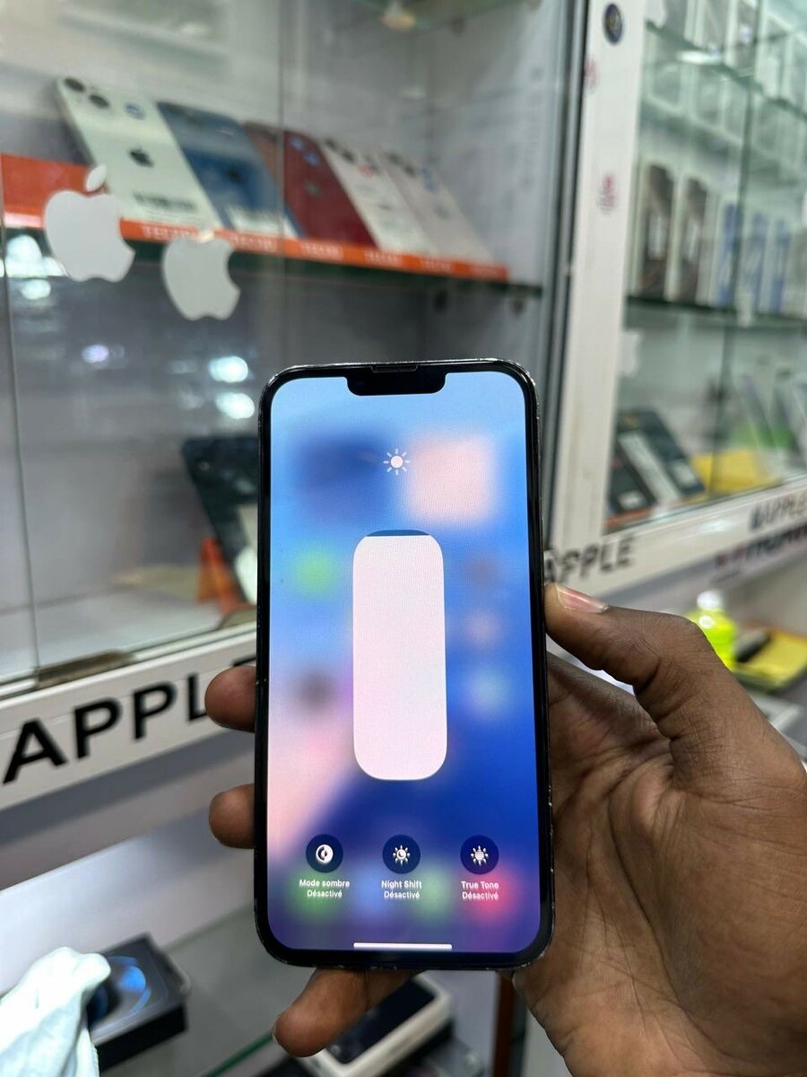 iPhone 13 Pro Max 256g