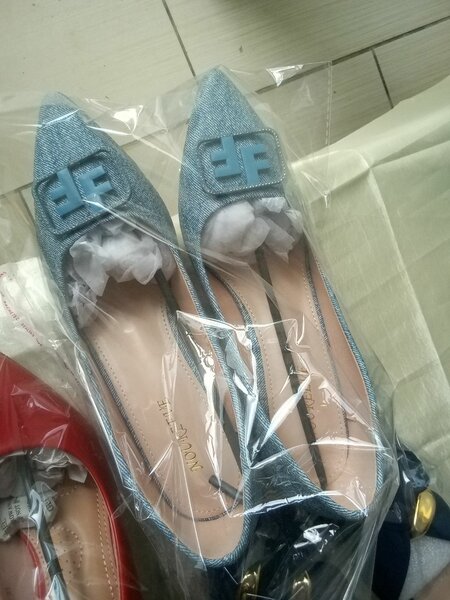 Ballerines élégantes pour femmes