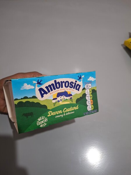 Ambrosia devon custard