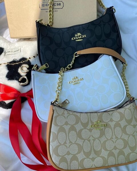 Sac à main Coach élégant