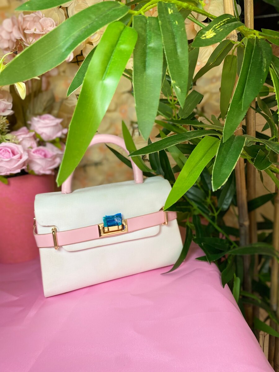 Sac À Main Élégant Femme