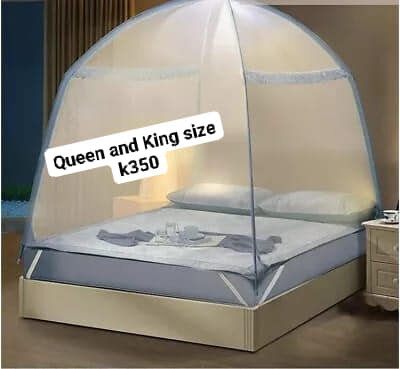 Beautiful translucent canopy for a bed