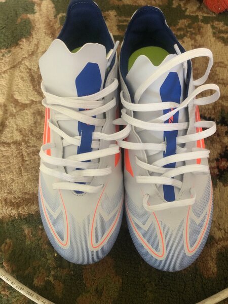 F50 сороконошки