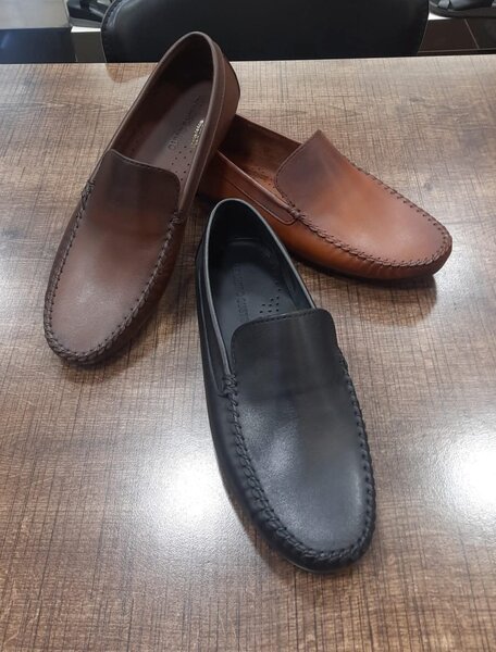 Tod's Modacim