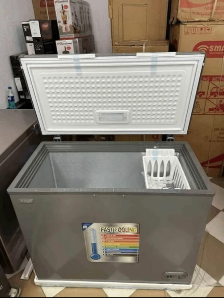 Congélateur Coffre Économique