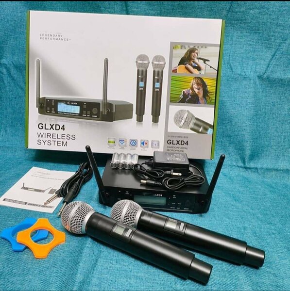 Système Micro Sans Fil Professionnel