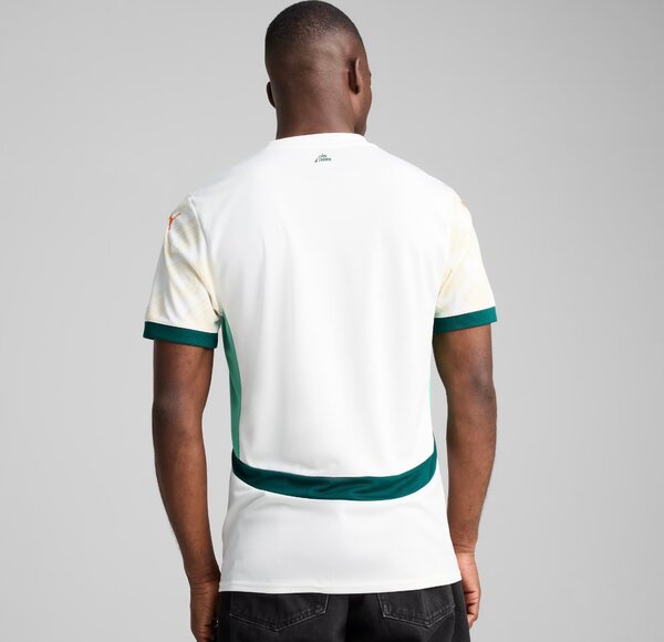 Maillot Côte d'Ivoire Pro