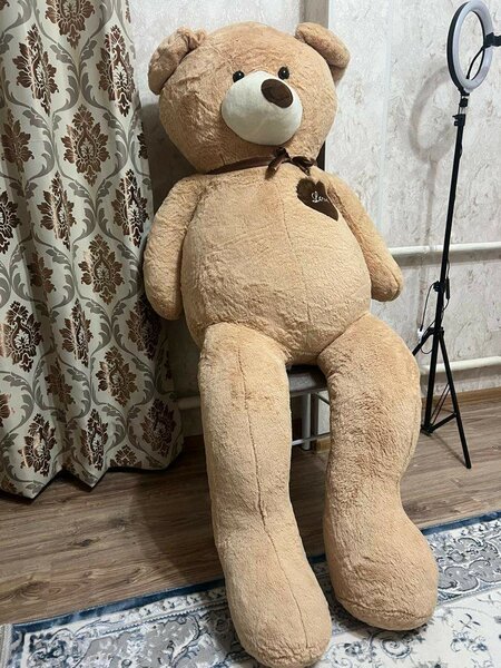 Мишка, высота 1,6