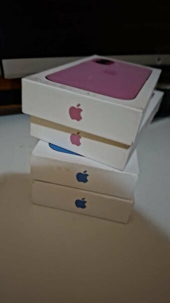 iPhone 16 Bleu et Rose