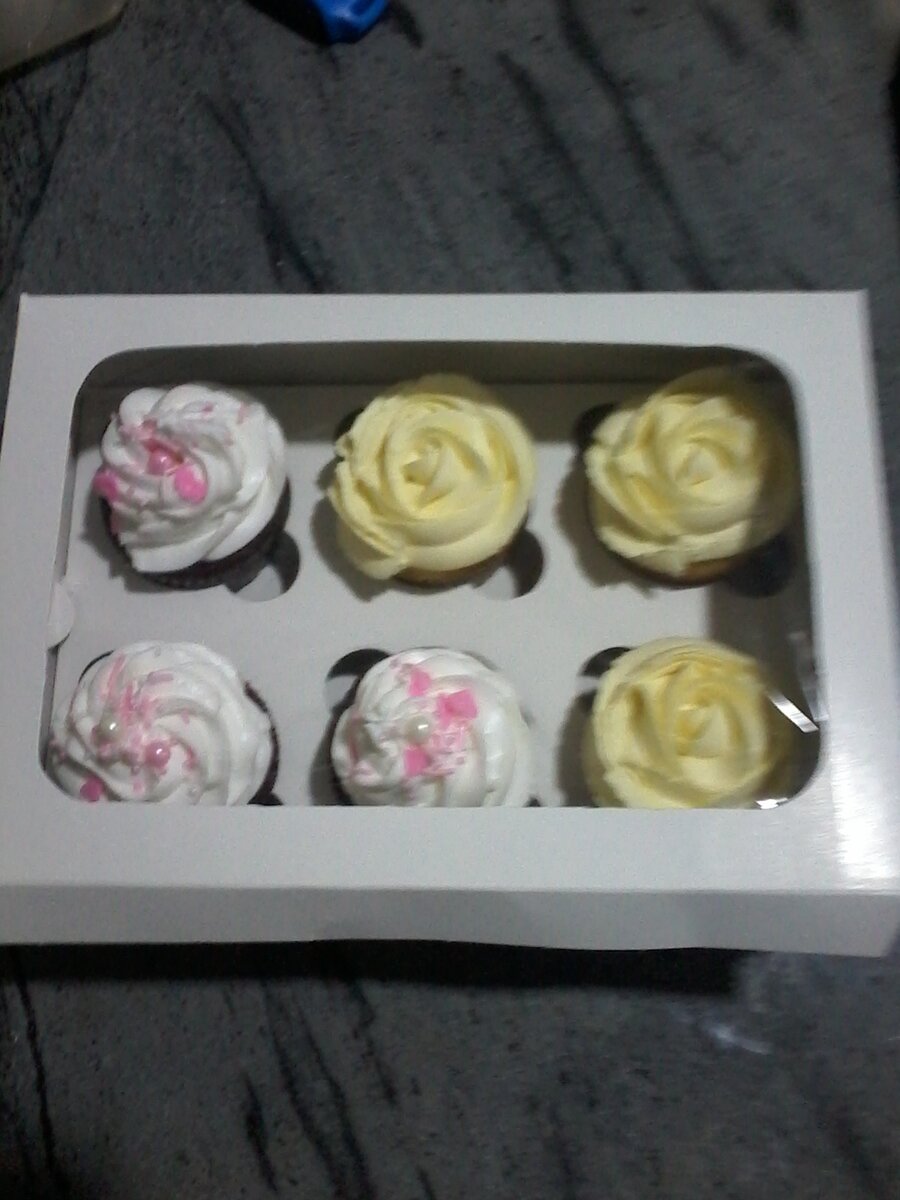 Bento cakes and cupcakes