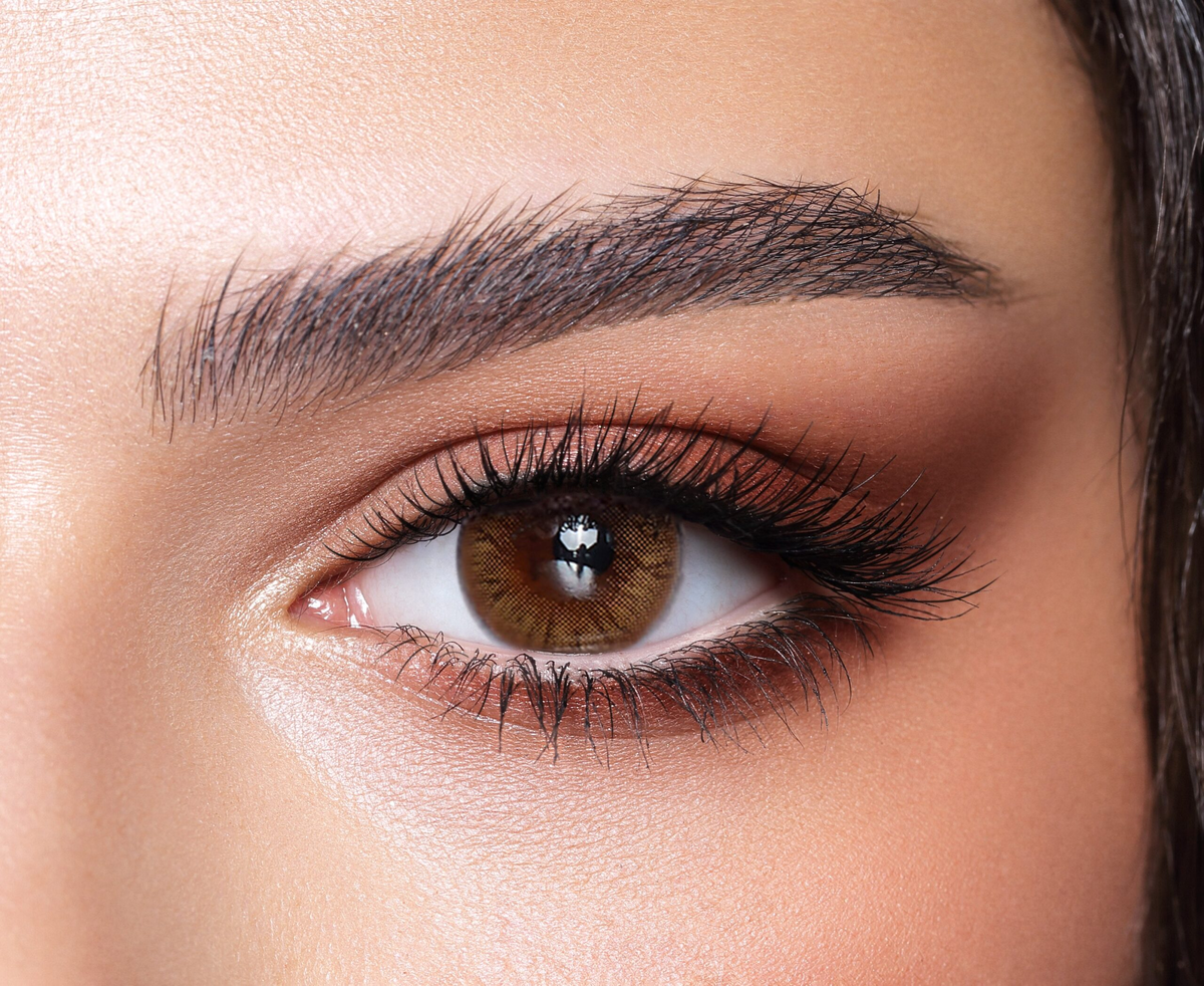 Bella ONE DAY Collection: Hazel Honey