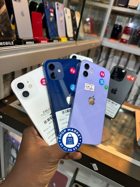 12 𝐬𝐢𝐦𝐩𝐥𝐞 𝐪𝐮𝐚𝐬𝐢 𝐧𝐞𝐮𝐟 (𝐢𝐦𝐩𝐨𝐫𝐭é)