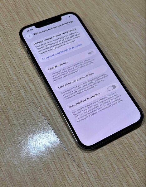 iPhone 12 Pro Max 256 Go Gris