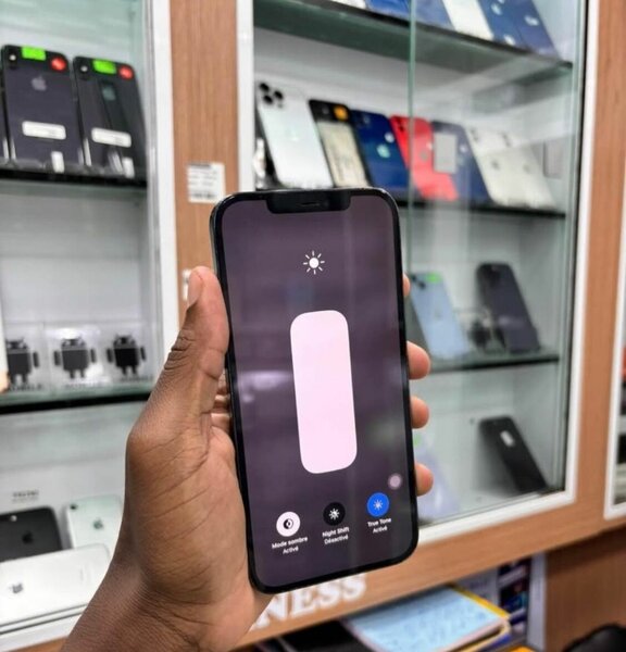 iPhone 12 Pro 256Go