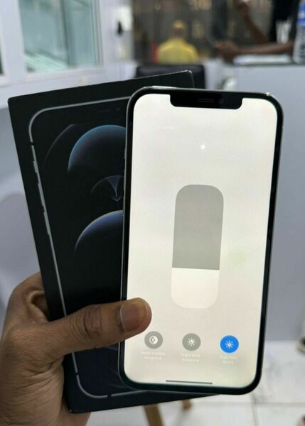iPhone Pro Max Argent 128GB