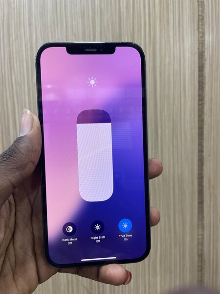 iPhone 12 Pro Max 128GB Gris