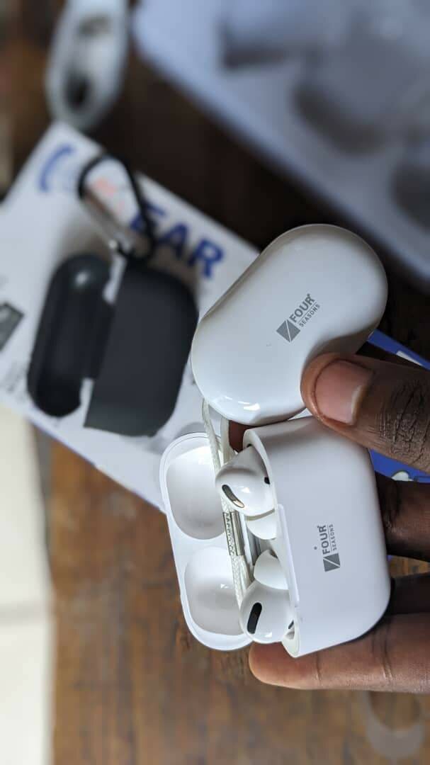 Four seasons earpods