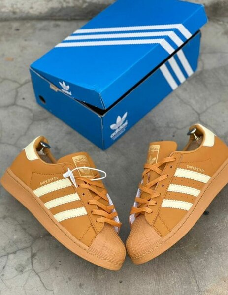 Baskets Superstar Classiques