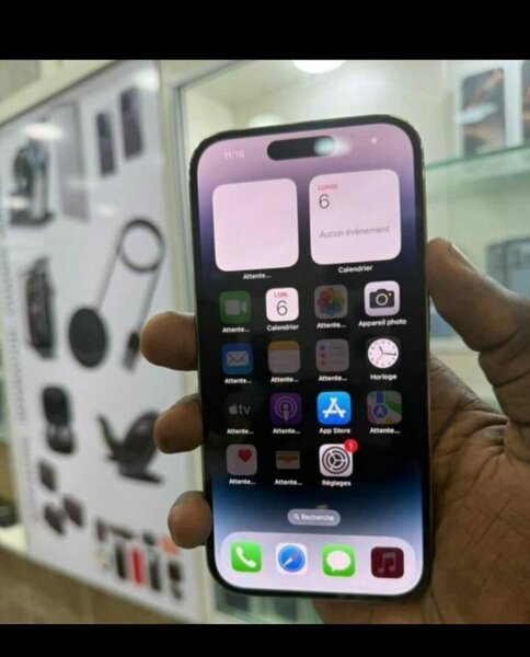 iPhone 14 Pro Max Argent