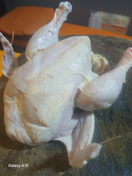 Poulet de chaires