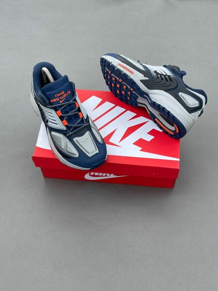 Nike air Max Pegasus