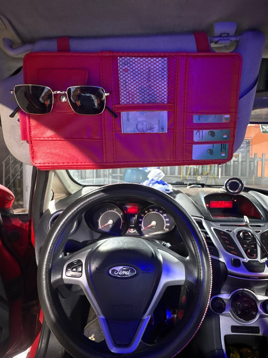 Organisateur de voiture multifonction