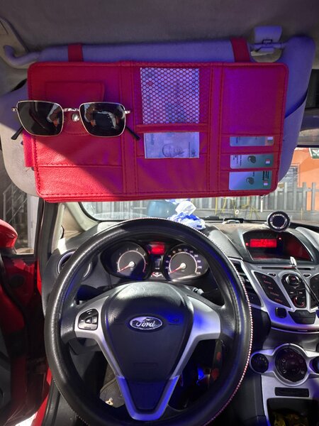 Organisateur de voiture multifonction