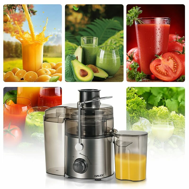 Extracteur de Jus HALEY