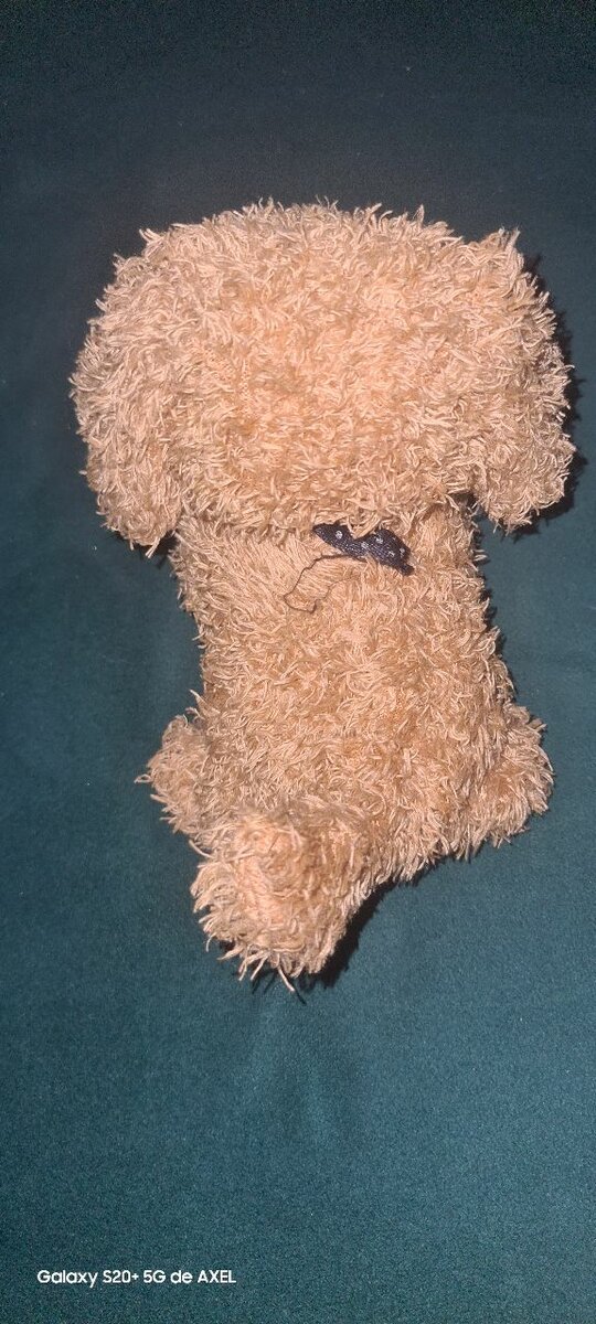 Chien électronique jouer