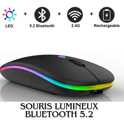 Souris rechargeable bluetooth