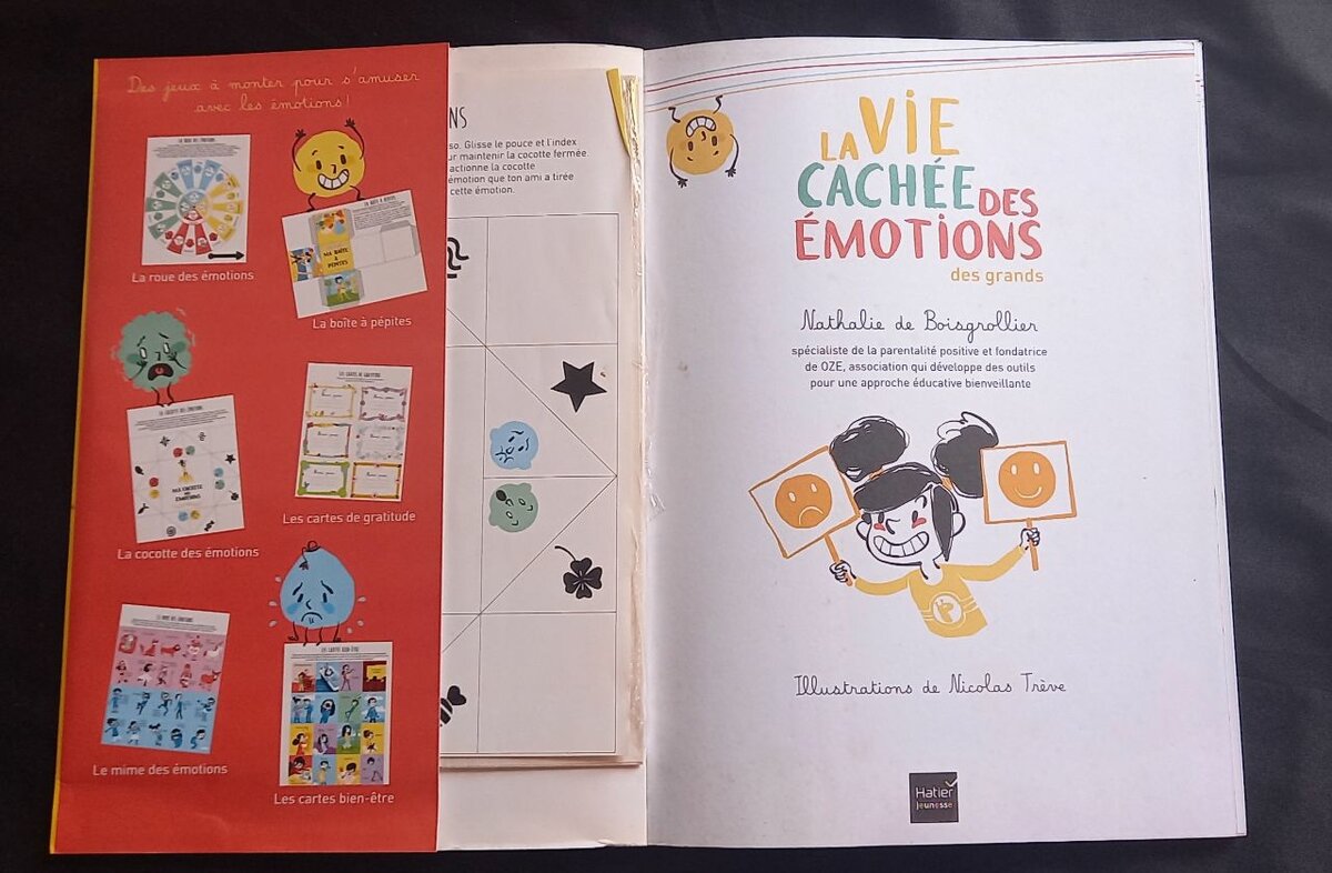 La Vie Cachée des Émotions