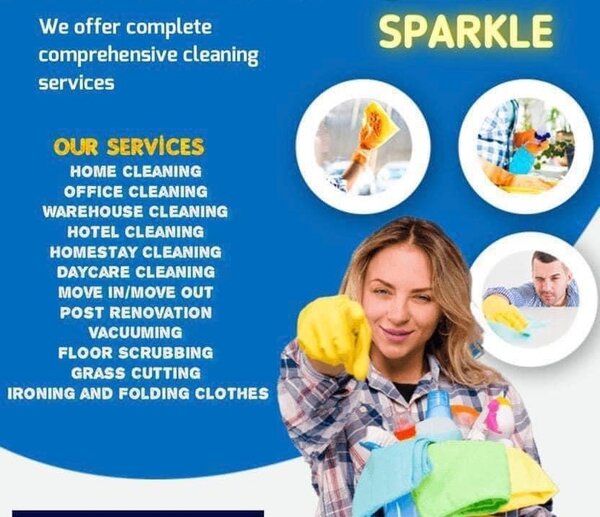 Professional Cleaning servics