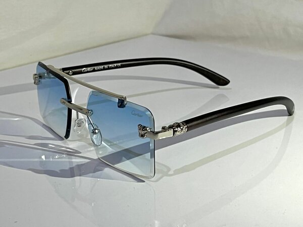 Lion sun glasses