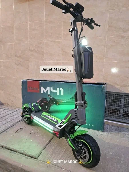Trottinette Électrique Puissante