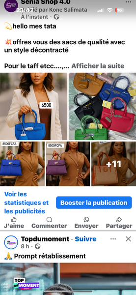 Sacs à main élégants brillants