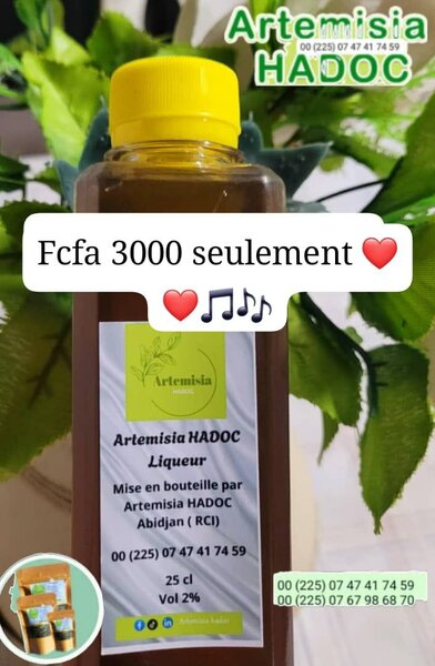 Artemisia Hadoc Liqueur et Plantes