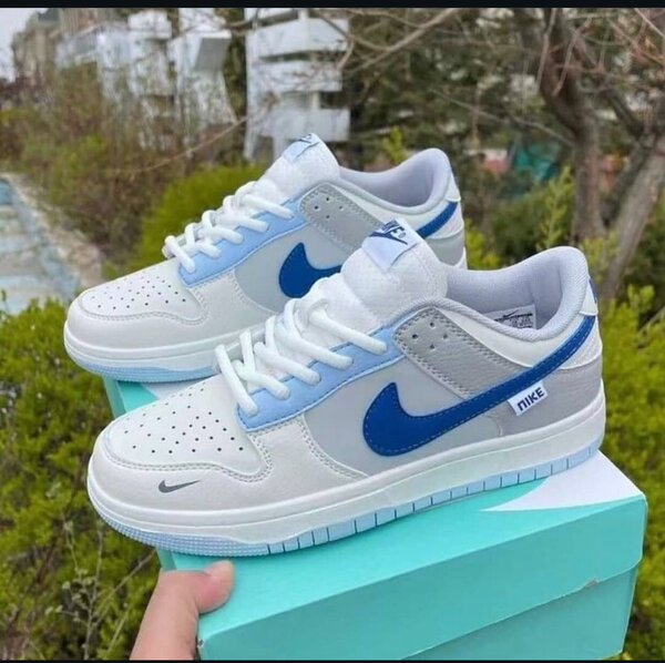 Nike SB