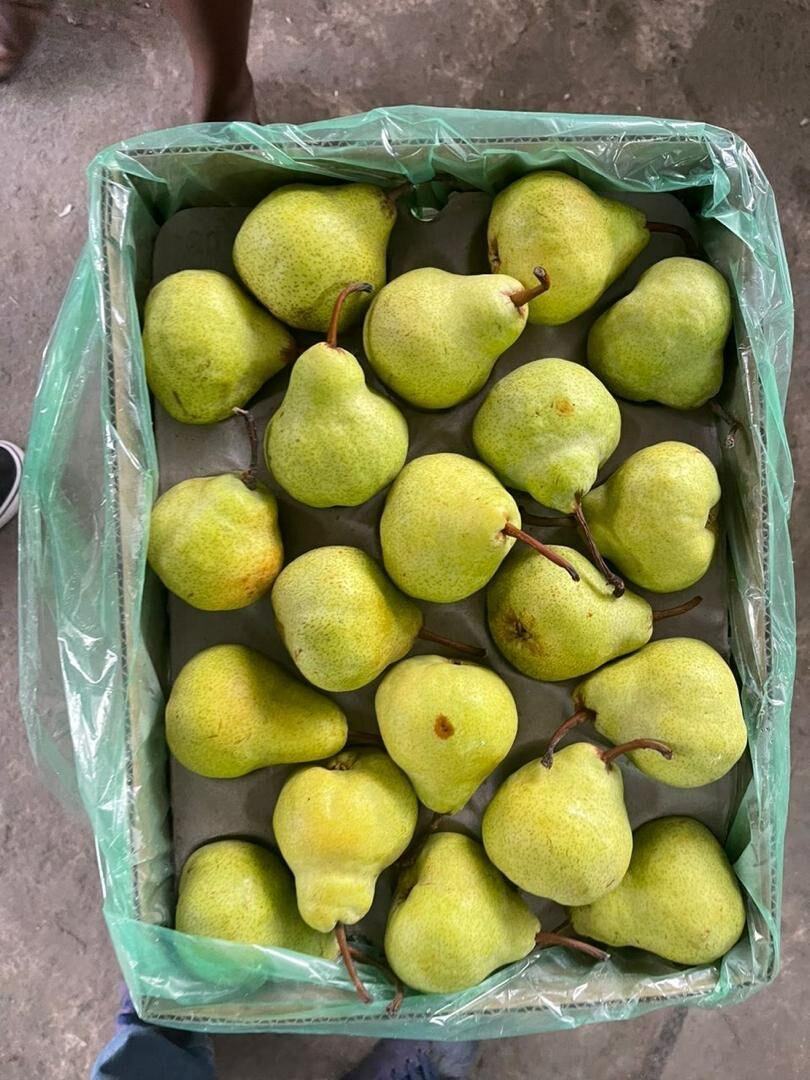 Poires packhams 12,5 kg