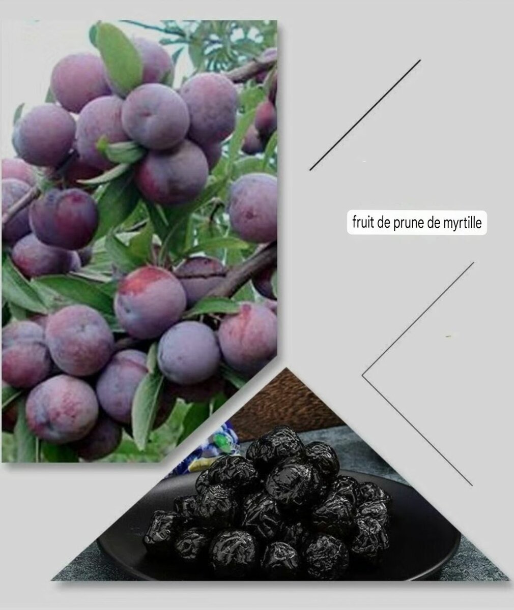 500 g Myrtille sauvage sèche