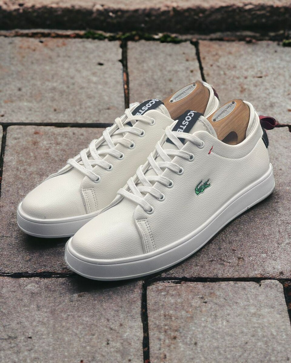 Lacoste shoe ( white )