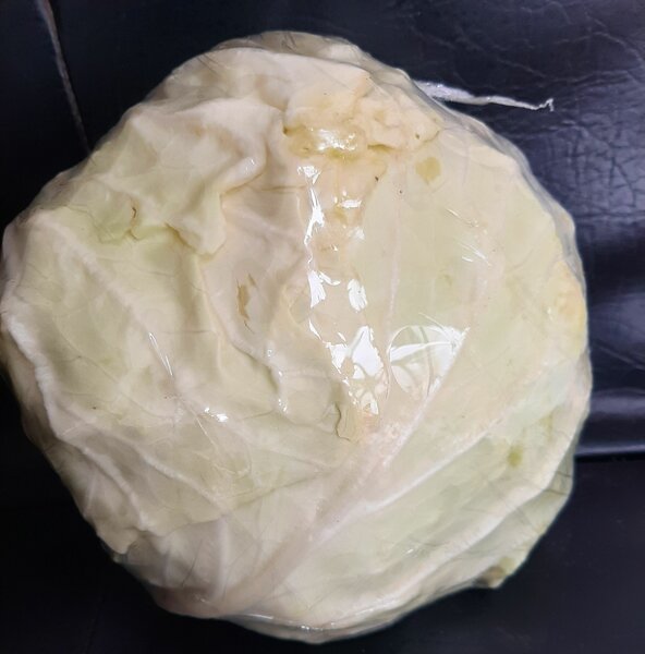 White cabbage