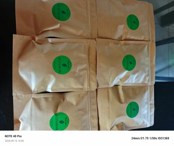 Thé Vert Elynayar Bio