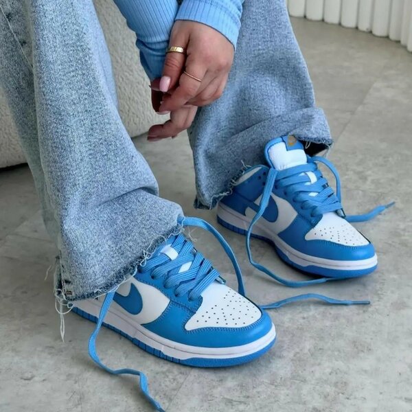 Nike dunk SB low.