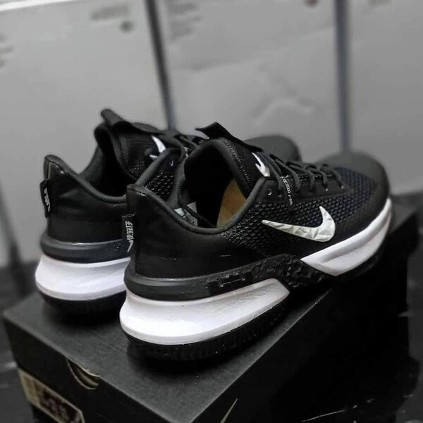 BASKETBALL LEBRON AMBASSADOR