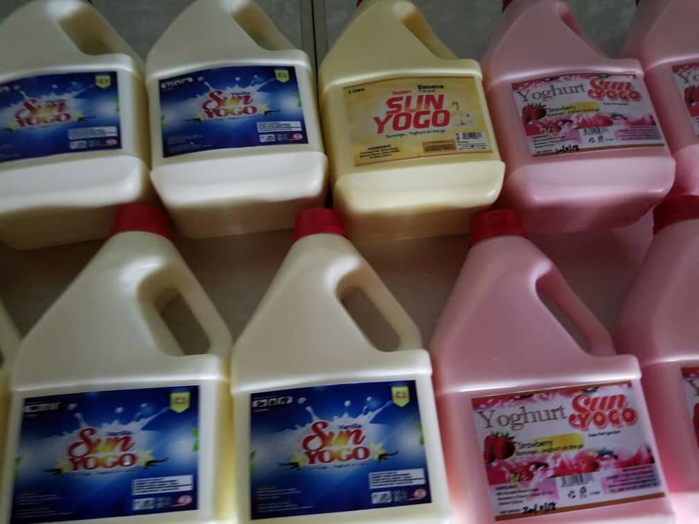 Probiotic flavoured yoghurt